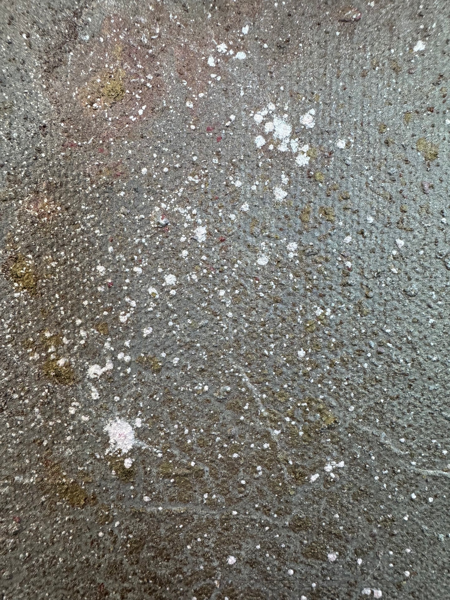 "Taken with the Stars" - Original artwork by Kristy Kurjan