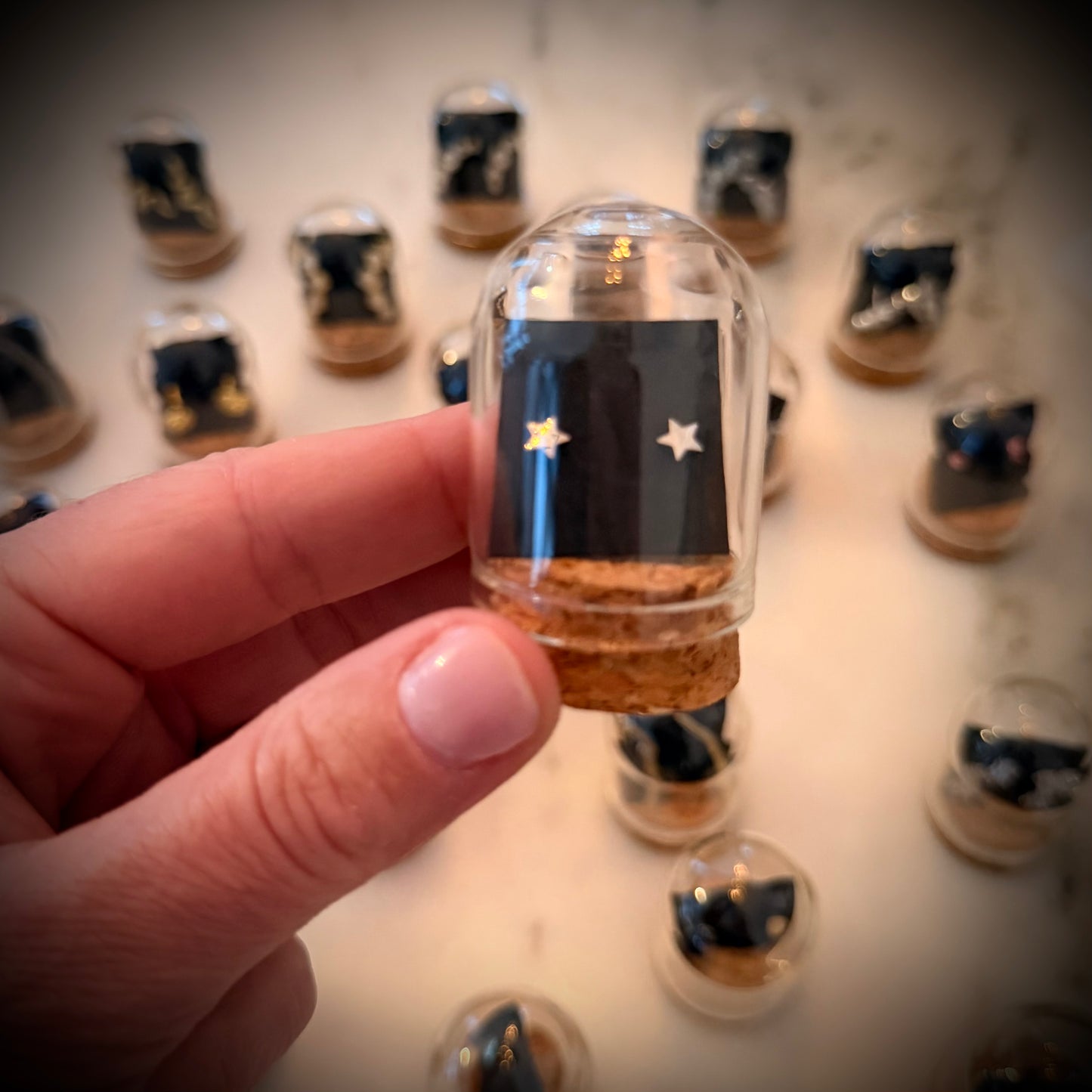 Screw Back Stainless Steel Earrings